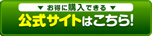 公式